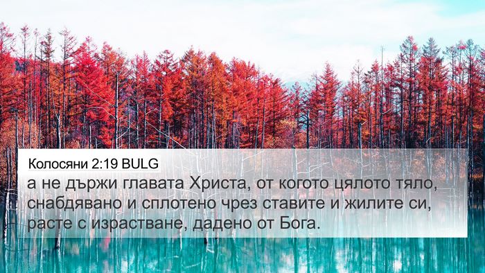 Колосяни 2:19 BULG Bible Verse Image