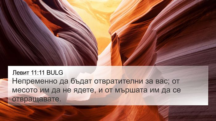 Левит 11:11 BULG Bible Verse Image
