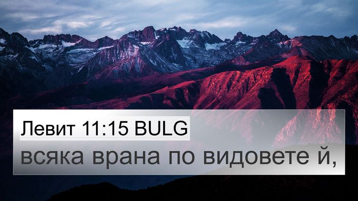 Левит 11:15 BULG 4K Wallpaper - всяка врана по видовете - 4K Wallpaper Bible Verse