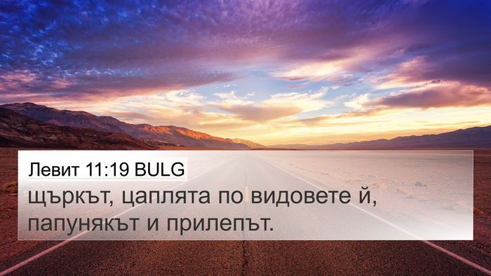 Левит 11:19 BULG Bible Verse Image
