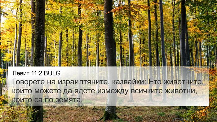 Левит 11:2 BULG 4K Wallpaper - Говорете на израилтяните, - 4K Wallpaper Bible Verse