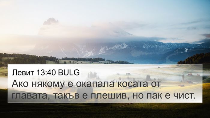 Левит 13:40 BULG 4K Wallpaper - Ако някому е окапала - 4K Wallpaper Bible Verse