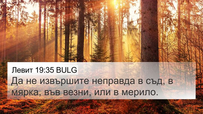 Левит 19:35 BULG Bible Verse Image