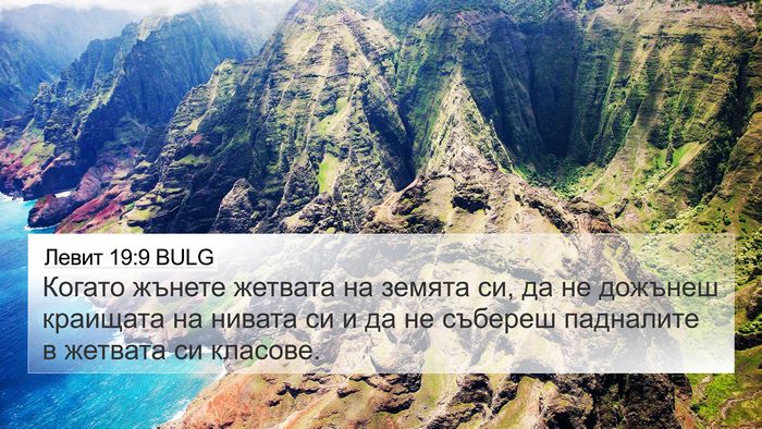 Левит 19:9 BULG Bible Verse Image