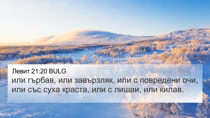 Левит 21:20 BULG Bible Verse Image