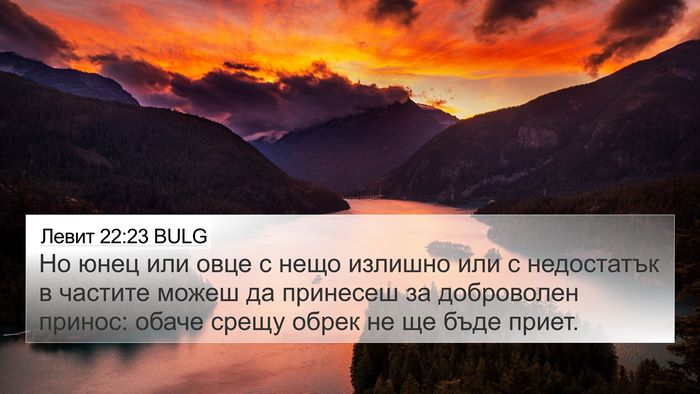 Левит 22:23 BULG Bible Verse Image
