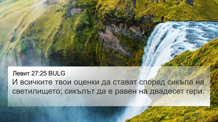 Левит 27:25 BULG Bible Verse Image