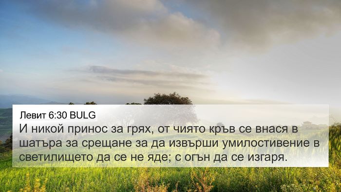 Левит 6:30 BULG Bible Verse Image