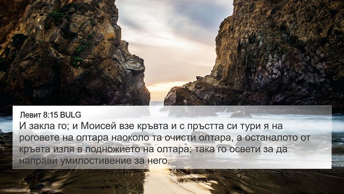 Левит 8:15 BULG Bible Verse Image