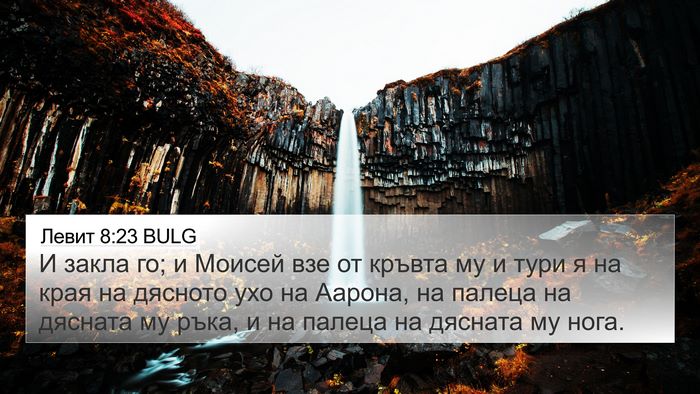 Левит 8:23 BULG 4K Wallpaper - И закла го; и Моисей взе от - 4K Wallpaper Bible Verse
