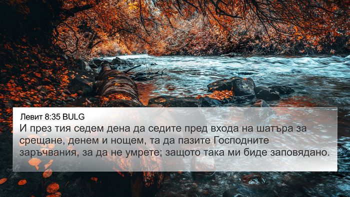 Левит 8:35 BULG Bible Verse Image