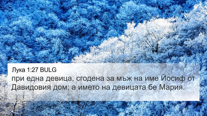 Лука 1:27 BULG 4K Wallpaper - при една девица, сгодена за - 4K Wallpaper Bible Verse