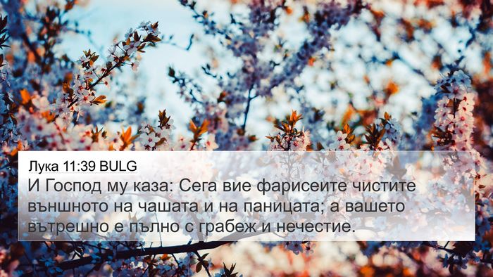 Лука 11:39 BULG 4K Wallpaper - И Господ му каза: Сега вие - 4K Wallpaper Bible Verse