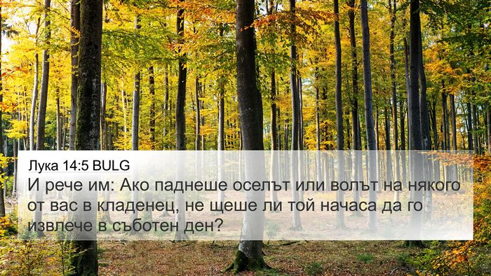 Лука 14:5 BULG Bible Verse Image
