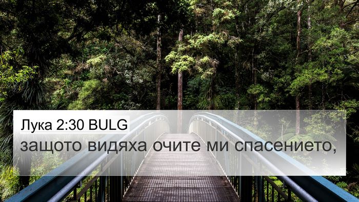 Лука 2:30 BULG Bible Verse Image
