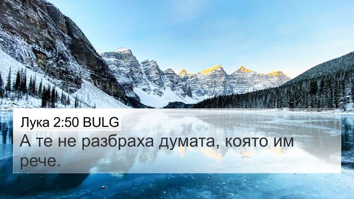 Лука 2:50 BULG Bible Verse Image