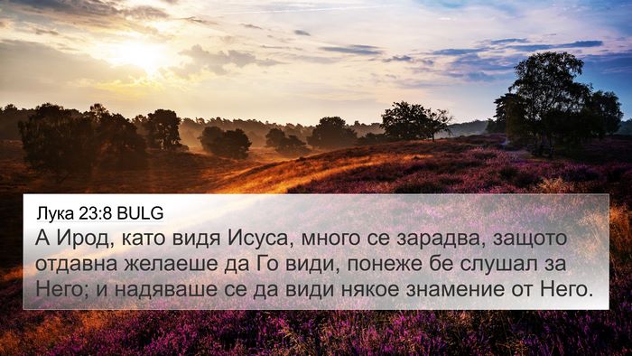 Лука 23:8 BULG Bible Verse Image