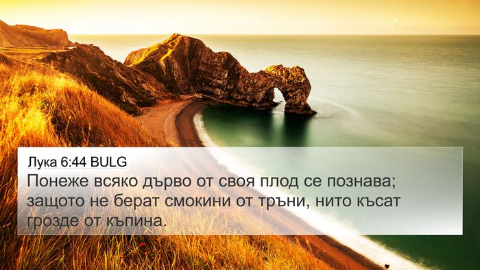 Лука 6:44 BULG 4K Wallpaper - Понеже всяко дърво от своя - 4K Wallpaper Bible Verse