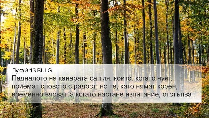 Лука 8:13 BULG Bible Verse Image