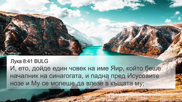 Лука 8:41 BULG Bible Verse Image