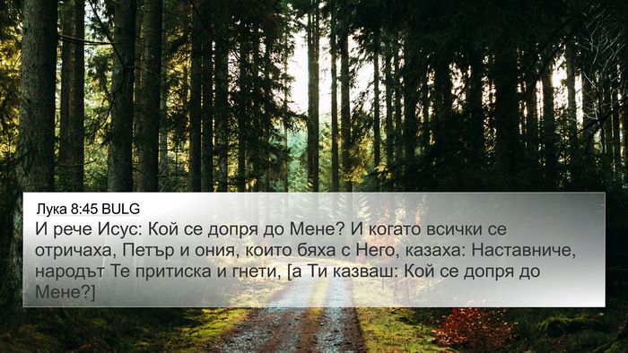 Лука 8:45 BULG Bible Verse Image