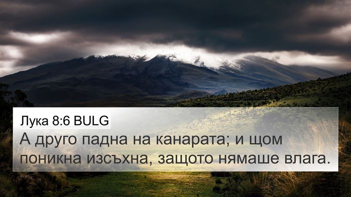 Лука 8:6 BULG 4K Wallpaper - А друго падна на канарата; - 4K Wallpaper Bible Verse