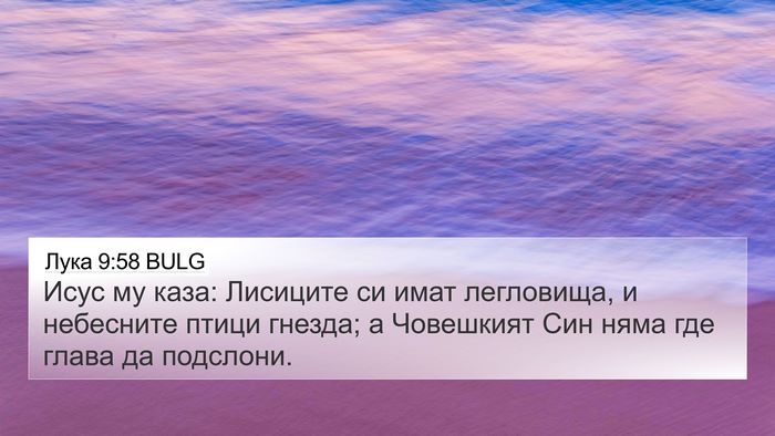 Лука 9:58 BULG Bible Verse Image