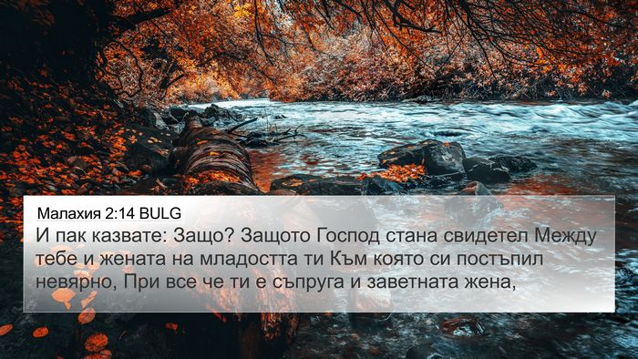 Малахия 2:14 BULG Bible Verse Image