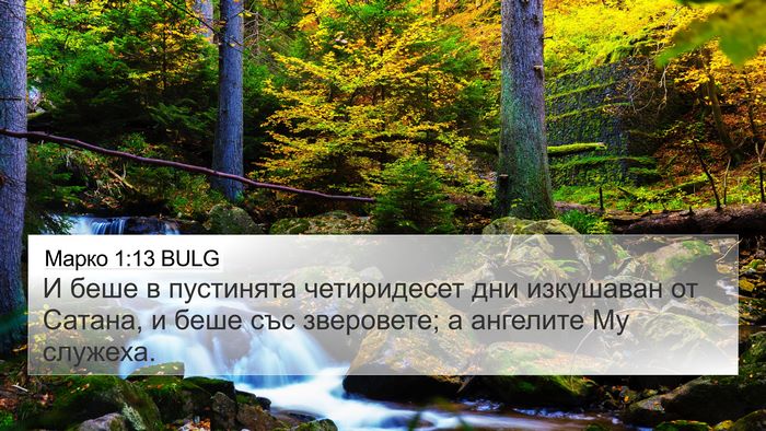 Марко 1:13 BULG Bible Verse Image