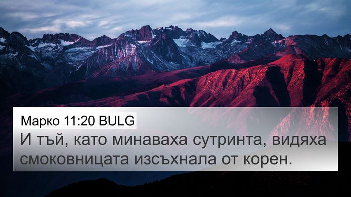 Марко 11:20 BULG Bible Verse Image