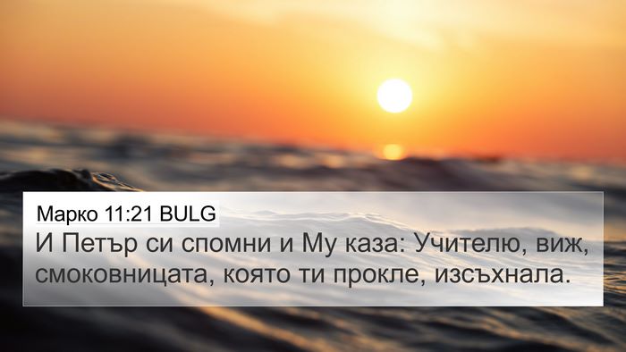 Марко 11:21 BULG 4K Wallpaper - И Петър си спомни и Му каза: - 4K Wallpaper Bible Verse