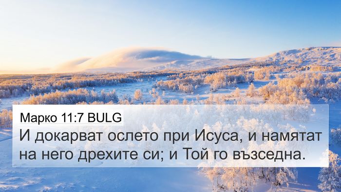 Марко 11:7 BULG 4K Wallpaper - И докарват ослето при - 4K Wallpaper Bible Verse