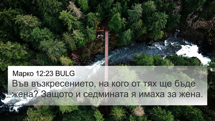 Марко 12:23 BULG 4K Wallpaper - Във възкресението, на кого - 4K Wallpaper Bible Verse