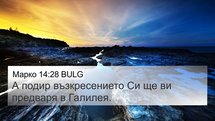 Марко 14:28 BULG Bible Verse Image