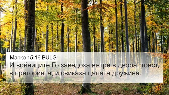 Марко 15:16 BULG Bible Verse Image