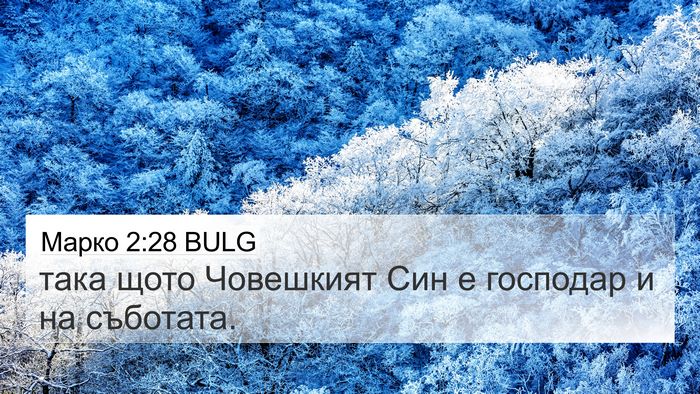 Марко 2:28 BULG Bible Verse Image