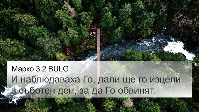 Марко 3:2 BULG Bible Verse Image