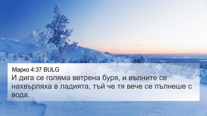 Марко 4:37 BULG Bible Verse Image