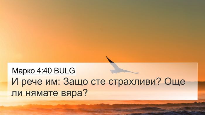 Марко 4:40 BULG Bible Verse Image