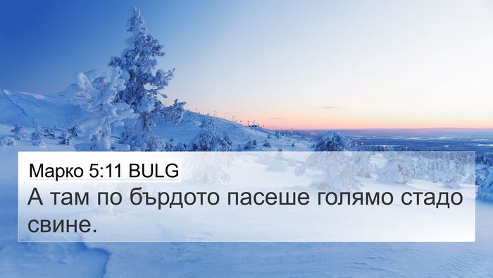 Марко 5:11 BULG Bible Verse Image