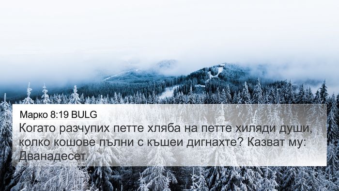 Марко 8:19 BULG Bible Verse Image