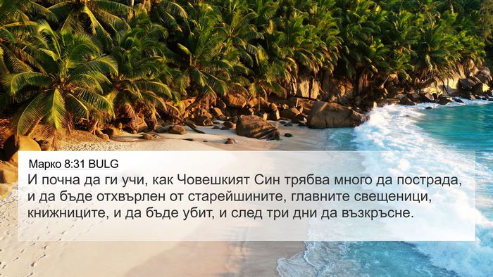 Марко 8:31 BULG Bible Verse Image