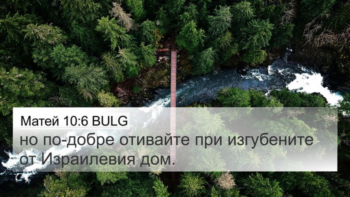 Матей 10:6 BULG 4K Wallpaper - но по-добре отивайте при - 4K Wallpaper Bible Verse