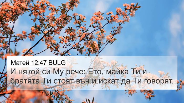 Матей 12:47 BULG 4K Wallpaper - И някой си Му рече: Ето, - 4K Wallpaper Bible Verse