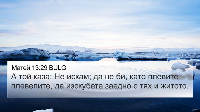 Матей 13:29 BULG 4K Wallpaper - А той каза: Не искам; да не - 4K Wallpaper Bible Verse