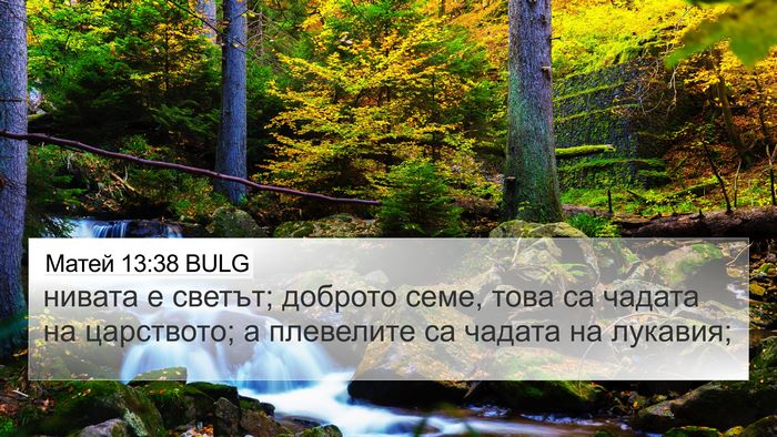Матей 13:38 BULG Bible Verse Image