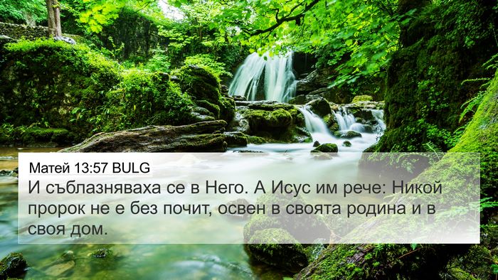 Матей 13:57 BULG Bible Verse Image