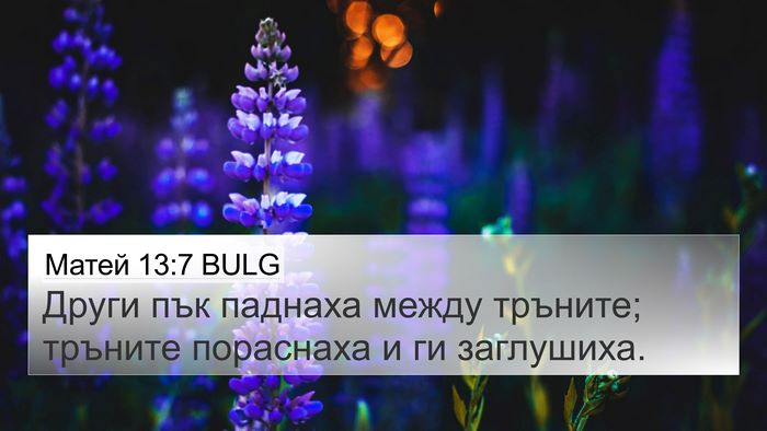 Матей 13:7 BULG Bible Verse Image