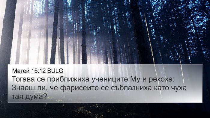 Матей 15:12 BULG Bible Verse Image
