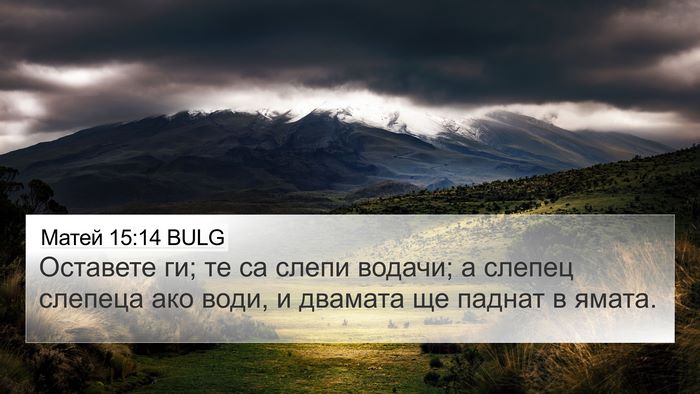 Матей 15:14 BULG Bible Verse Image